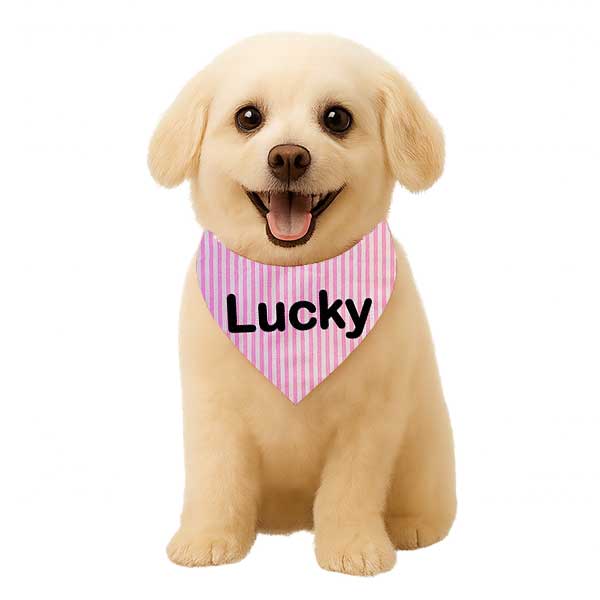 Personalized Dog & Cat Bandana