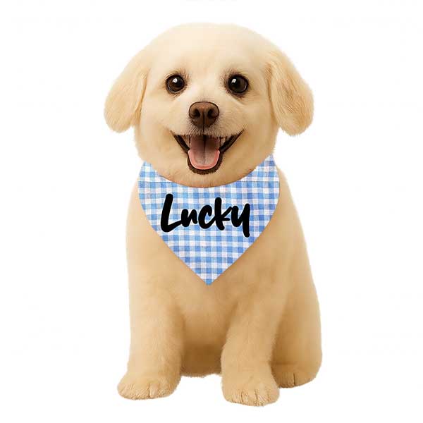 Personalized Reversible Dog & Cat Bandana (Sky Blue Leopard) - Image 2