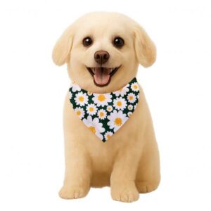 Personalized Reversible Dog & Cat Bandana (Green Daisy)